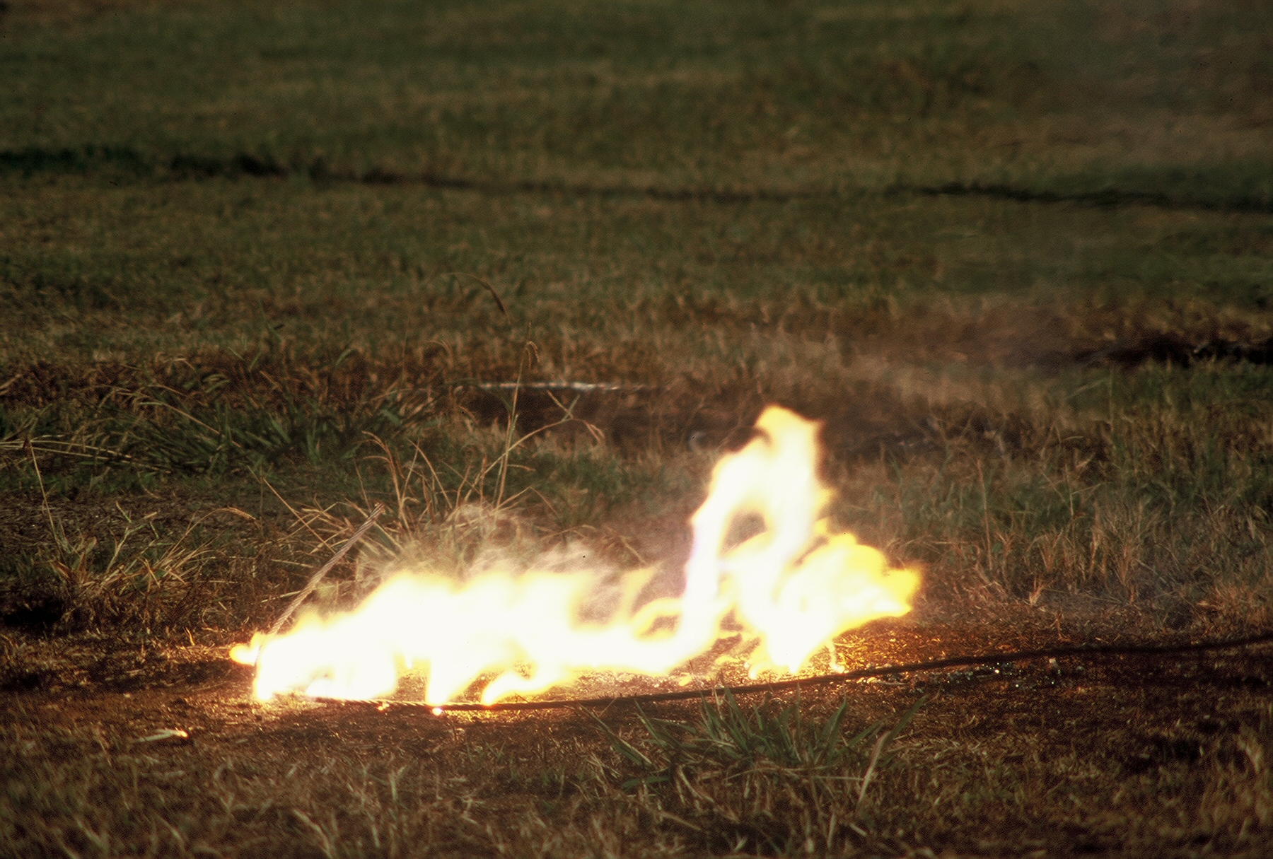 How Do Power Lines Cause Wildfires? Texas Wildfire Mitigation Project